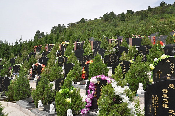 殡葬墓地的选择